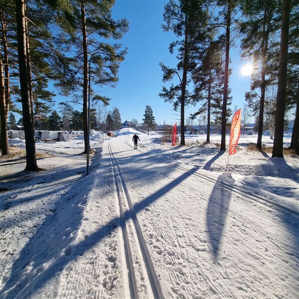 Mora Parken,  &copy; Mora Parken, Skidspår och en man som åker skidor. 