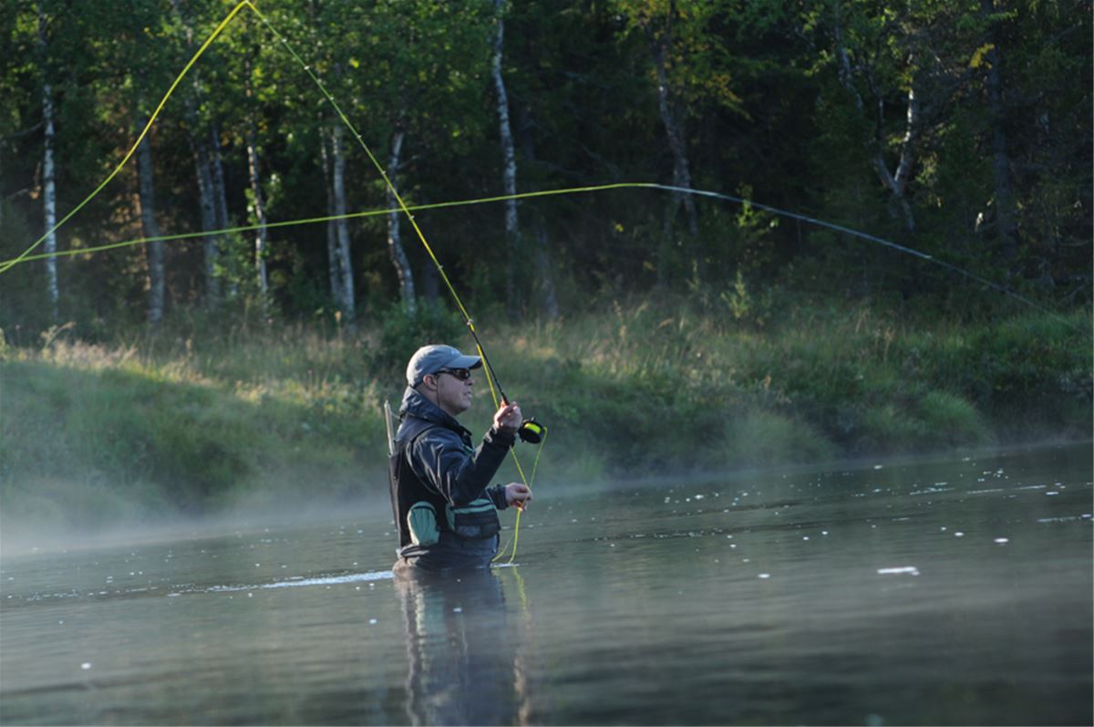 Fiske vid Rödingträsket image 1
