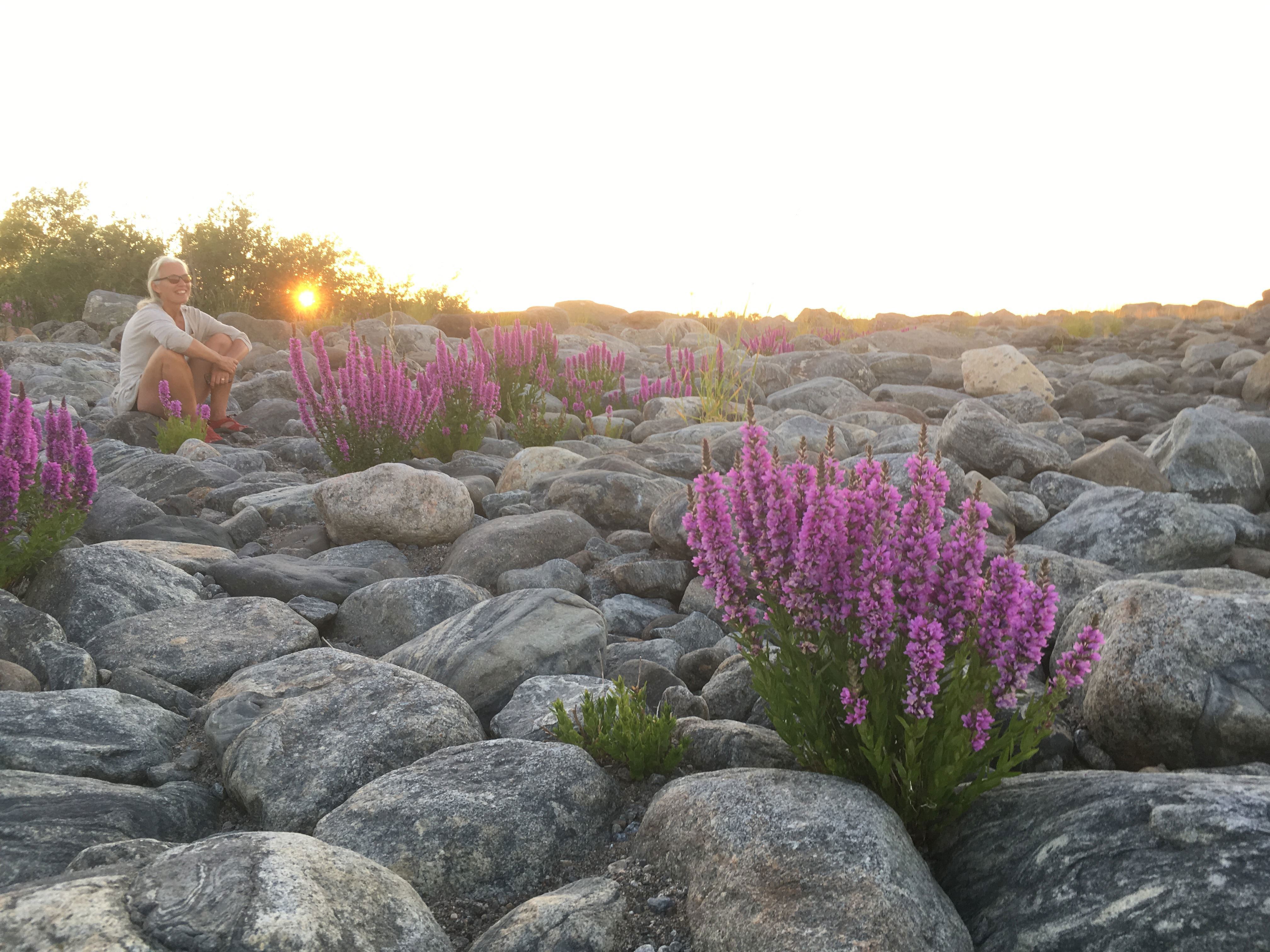 STF Stora Fjäderägg Vandrarhem