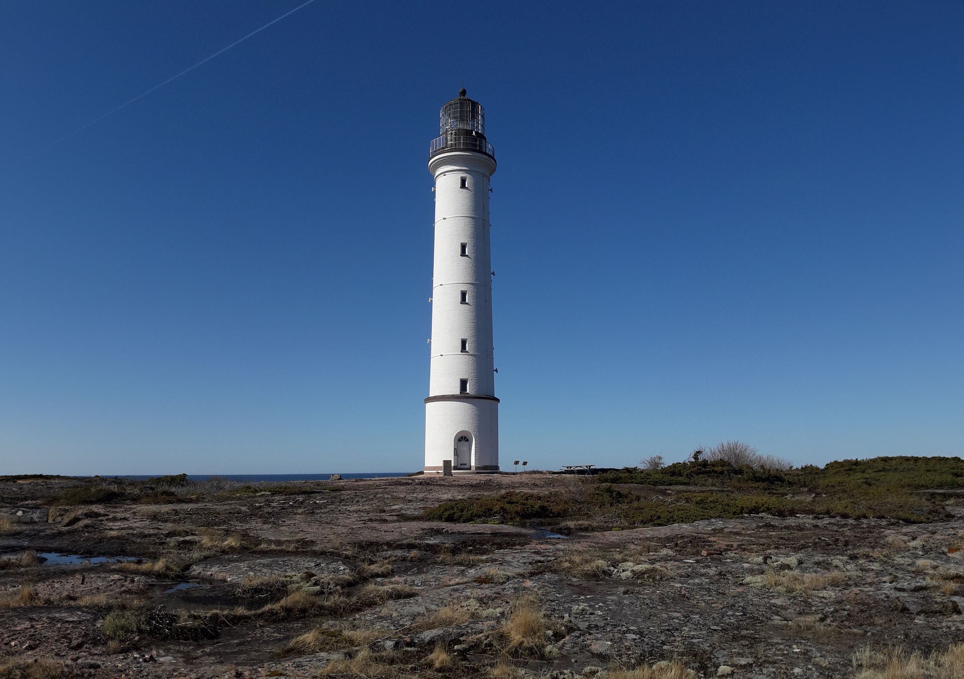 cbis:2616008-
