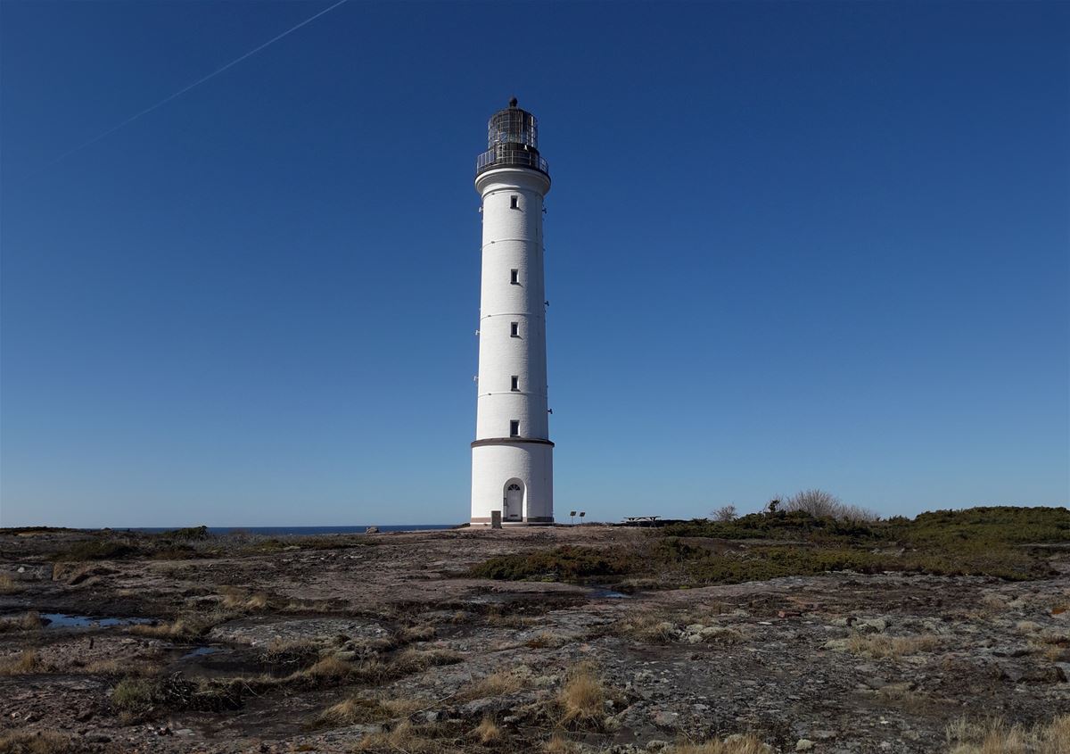 Havsutflykt till Sälskär i Hammarland image 1
