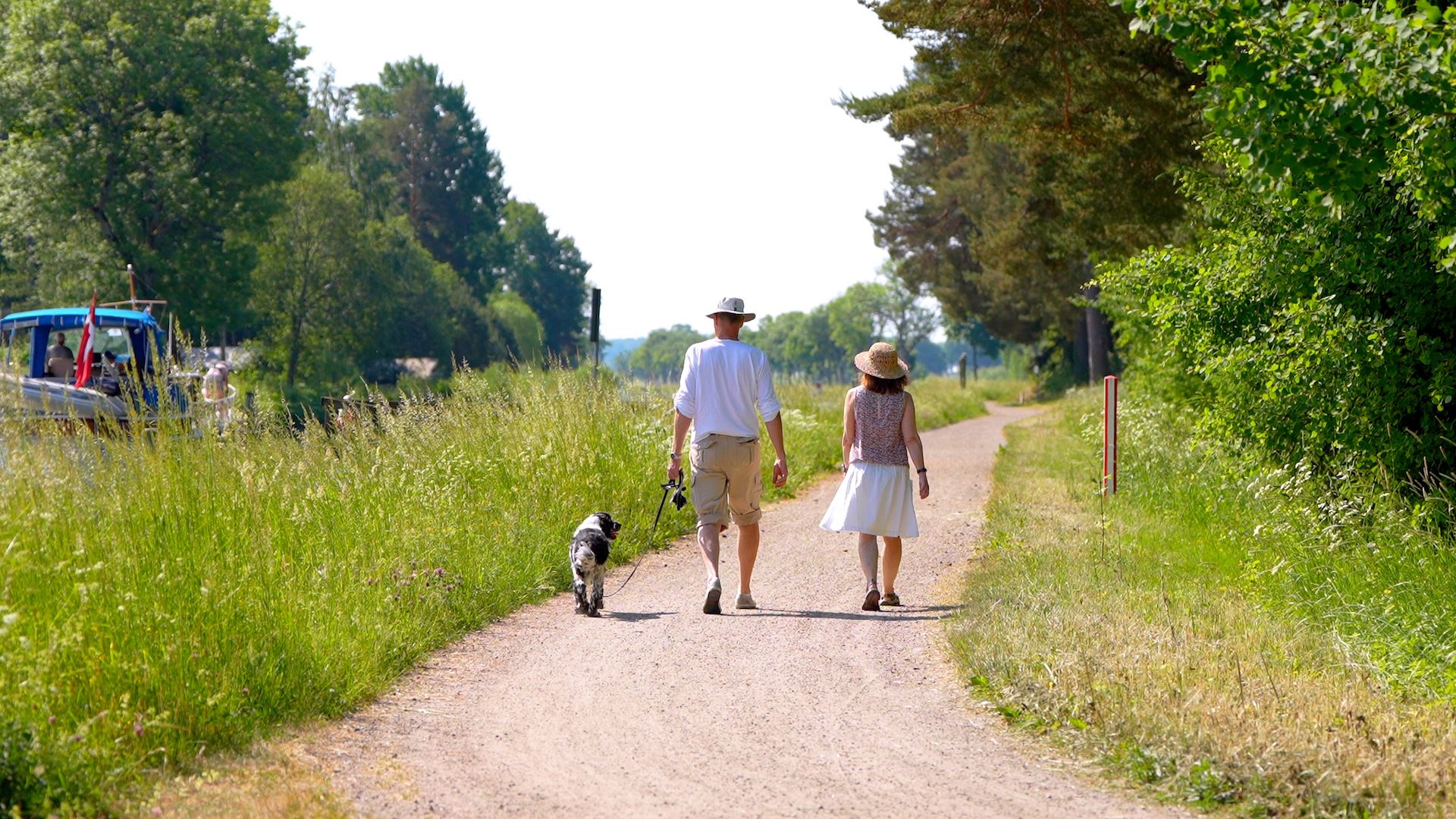 Göta kanal med din bäste vän - Hunden!