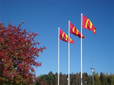 Mc Donalds flags in a row.