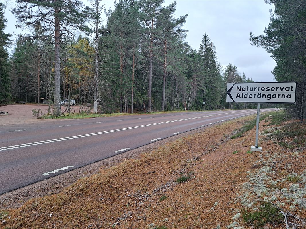 Asphalted road with a sign next to it that says nature reserve Alderängarna.