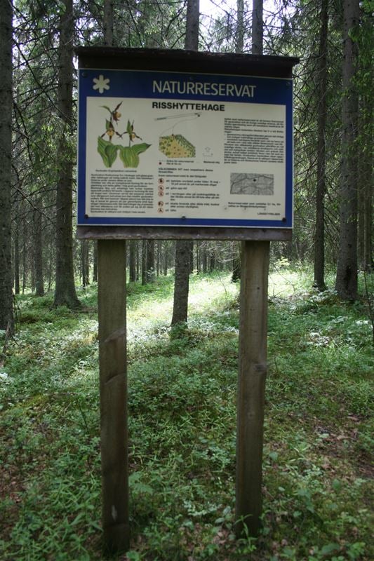 En informationsskylt som berättar om naturreservatet Risshytte hage.