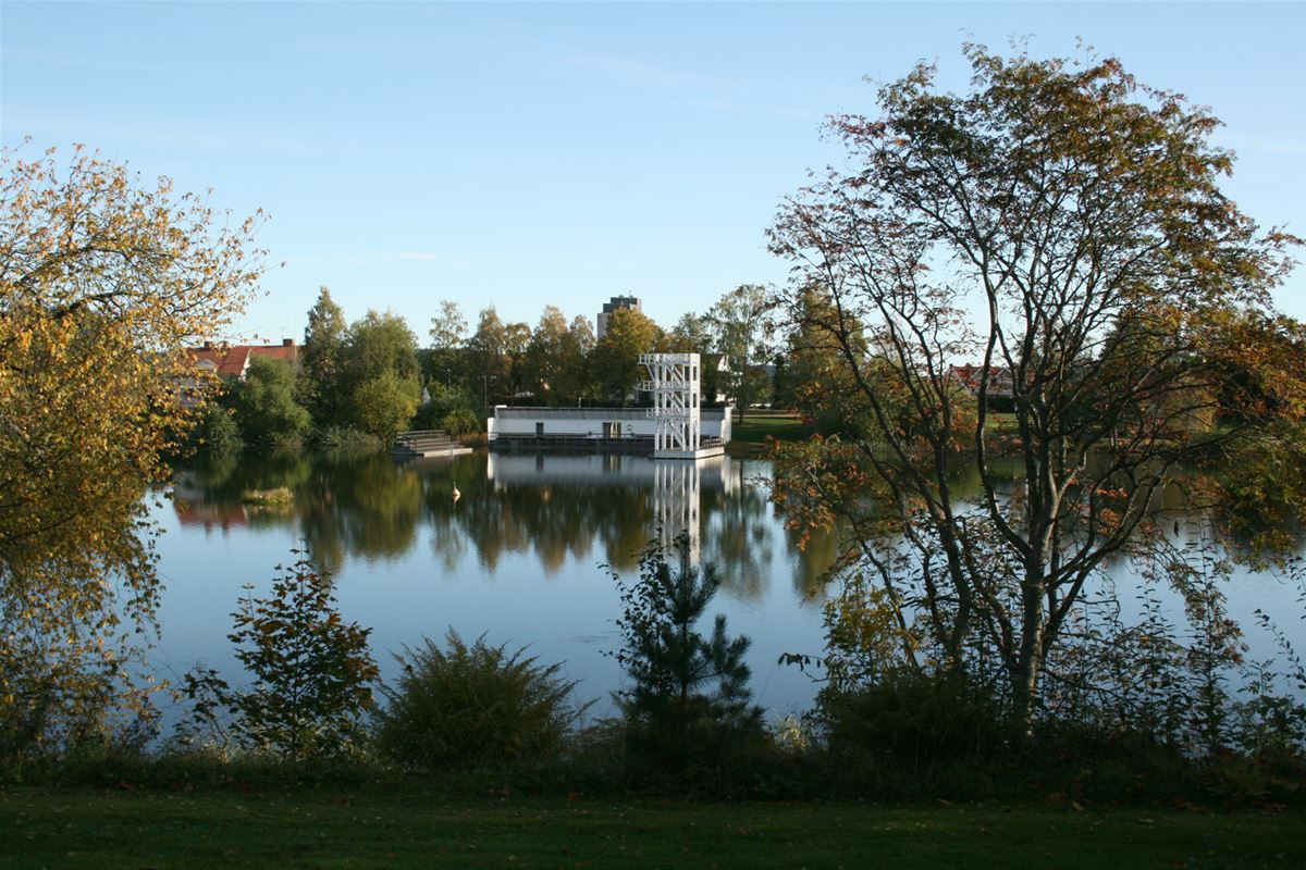 View over the lake.
