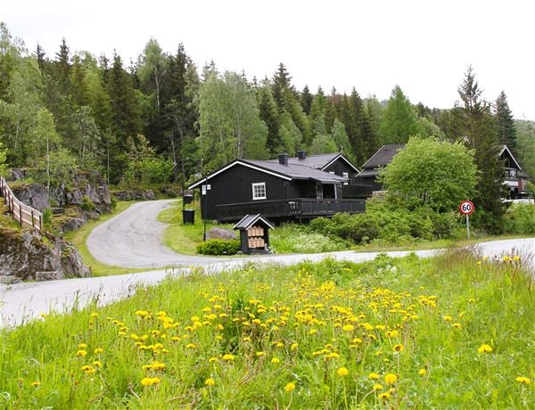 Bergstad cabin 16 