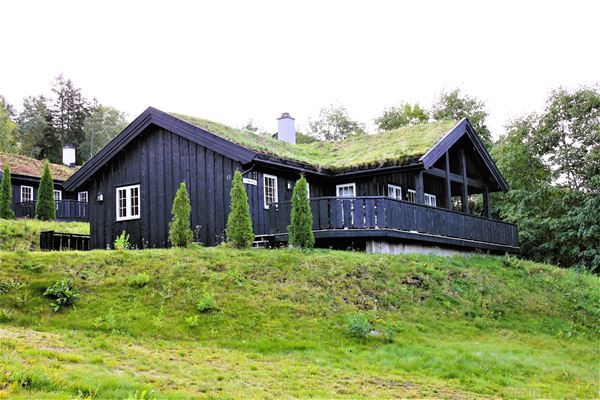 Nordlia 11 cottage 