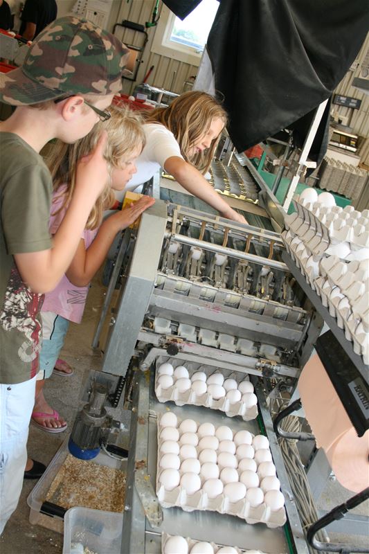 Three children standing beside a machine, out of the machine come eggs packaged in cartons.
