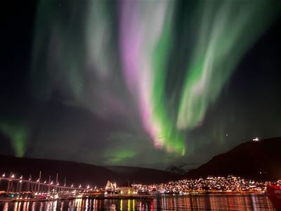 Grønt og lilla nordlys over Tromsø, med bylys og Tromsøbrua langs sjøen.