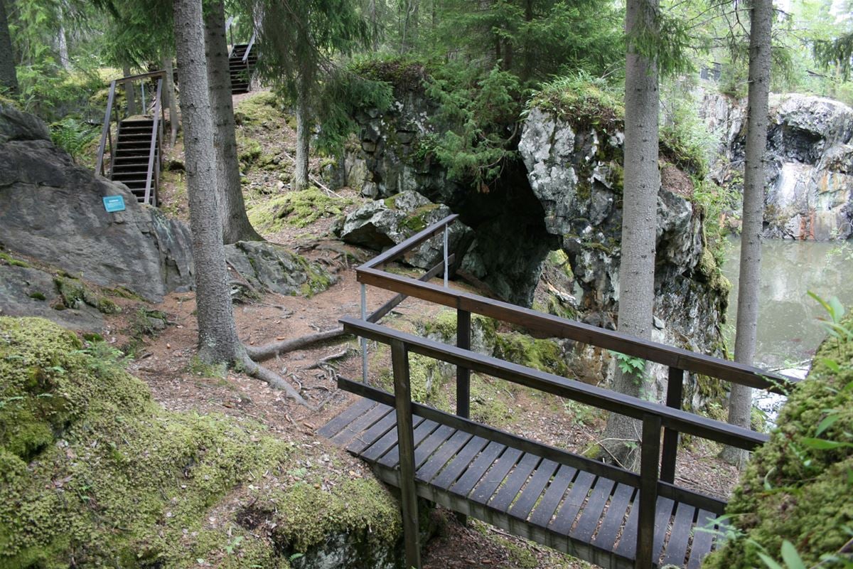 En liten träbro som följer en stig i skogen. 