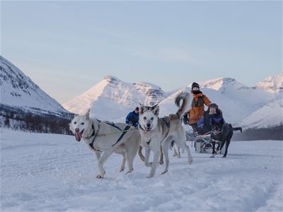 Hundeslede utenfor Tromsø