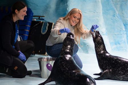 Selfôring på Polaria i Tromsø