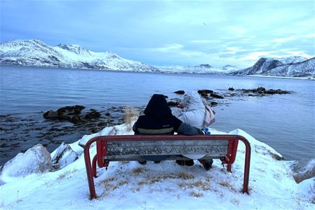 Enjoying an Arctic winter view in the Tromso region