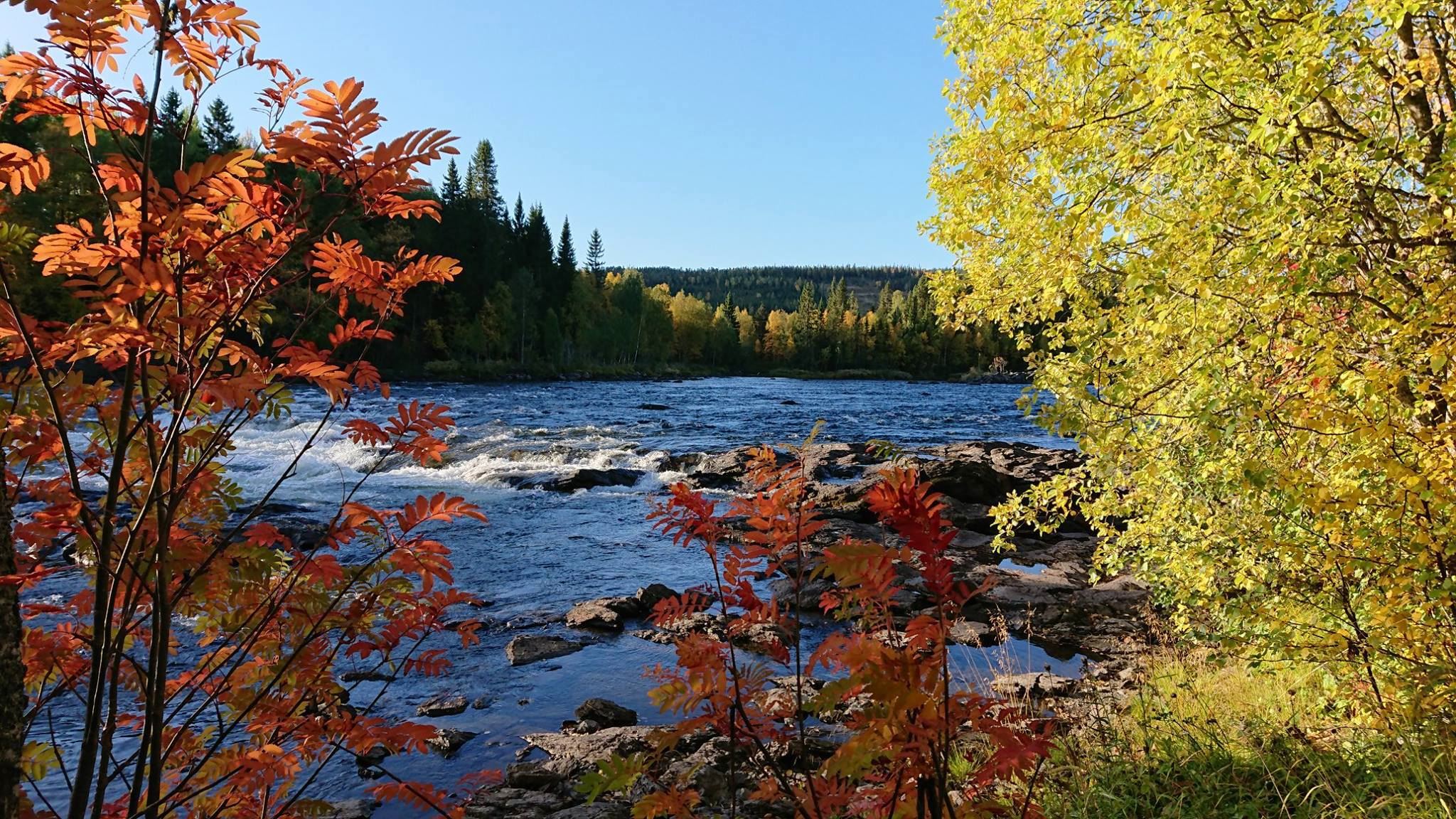 Ristafallets Camping 