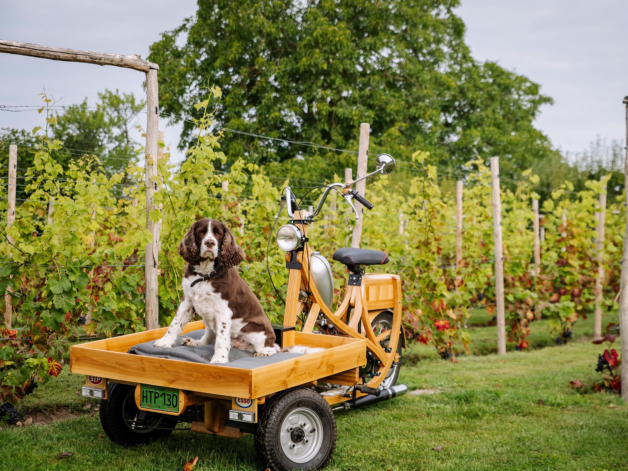 STF Ivögården Mat & Vingård