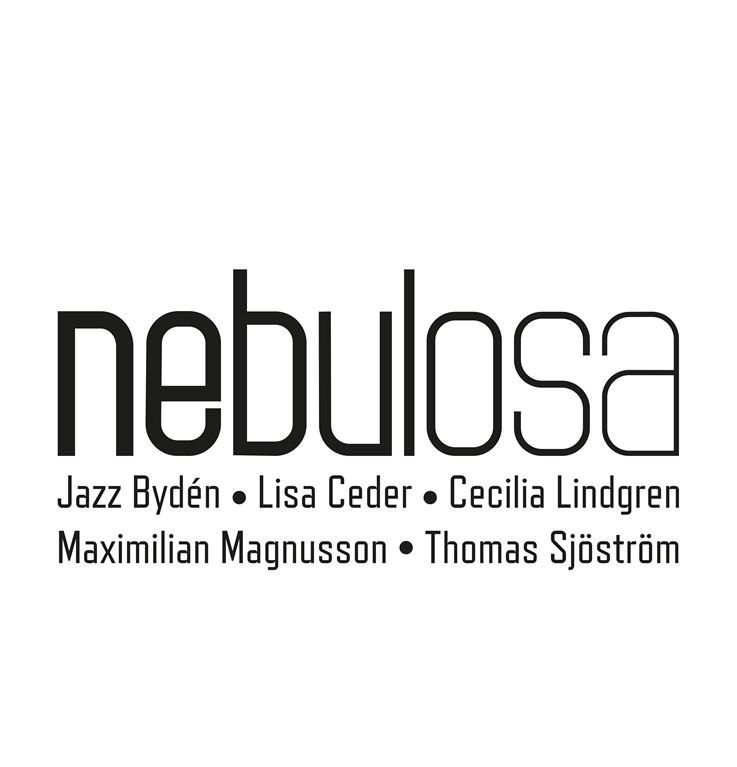 Affisch med namnet nebulosa samt namn på elever.