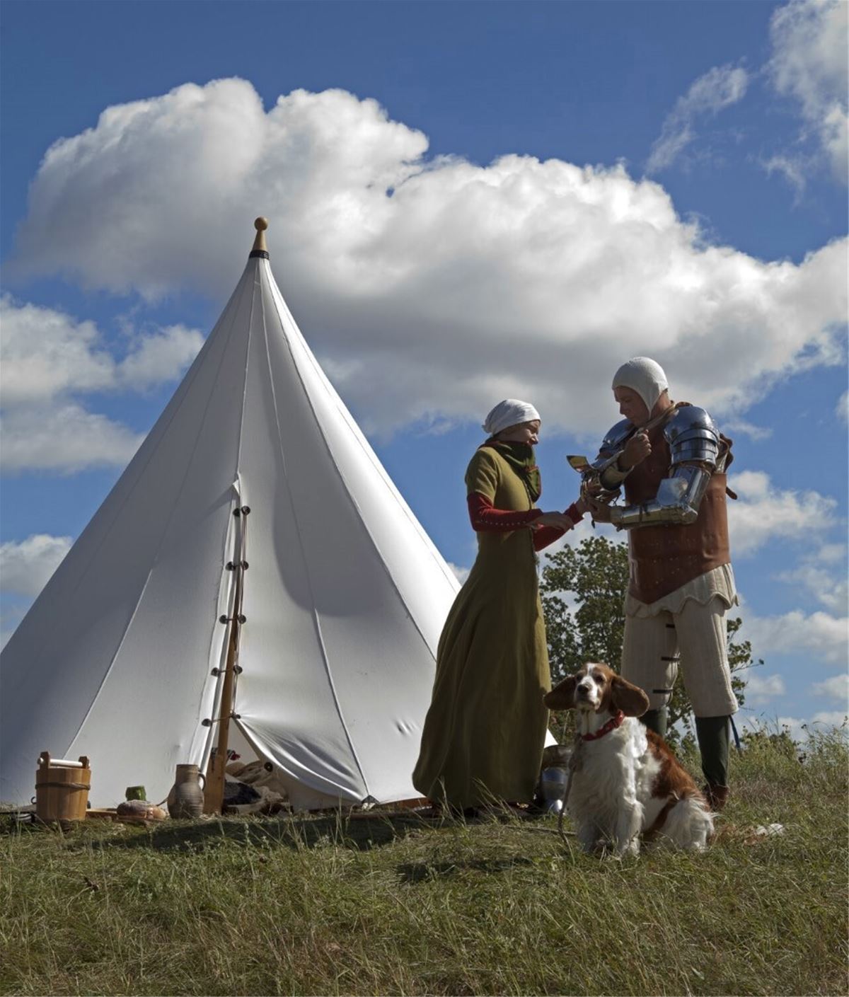 Medeltidsveckan Camping image 1