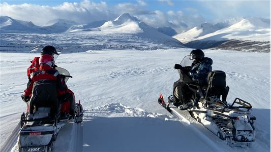 Guests sit on scooters and stand by the view