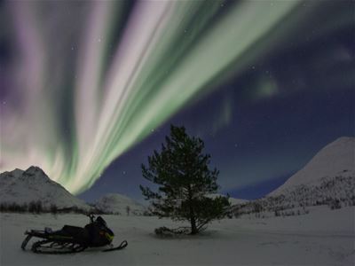 Snøskuter under nordlyset og ved fjellene