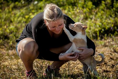 Puppy greating a lady