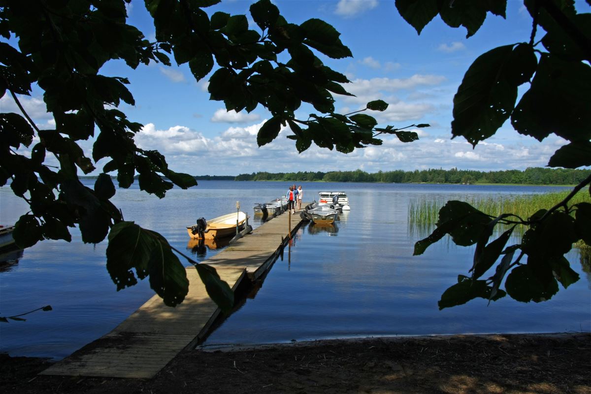 Kanotuthyrning Torne camping image 1