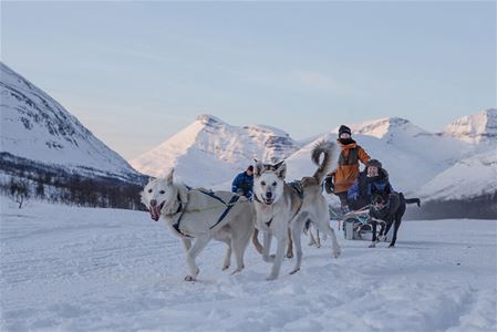 Hundesledetur utenfor Tromsø 
