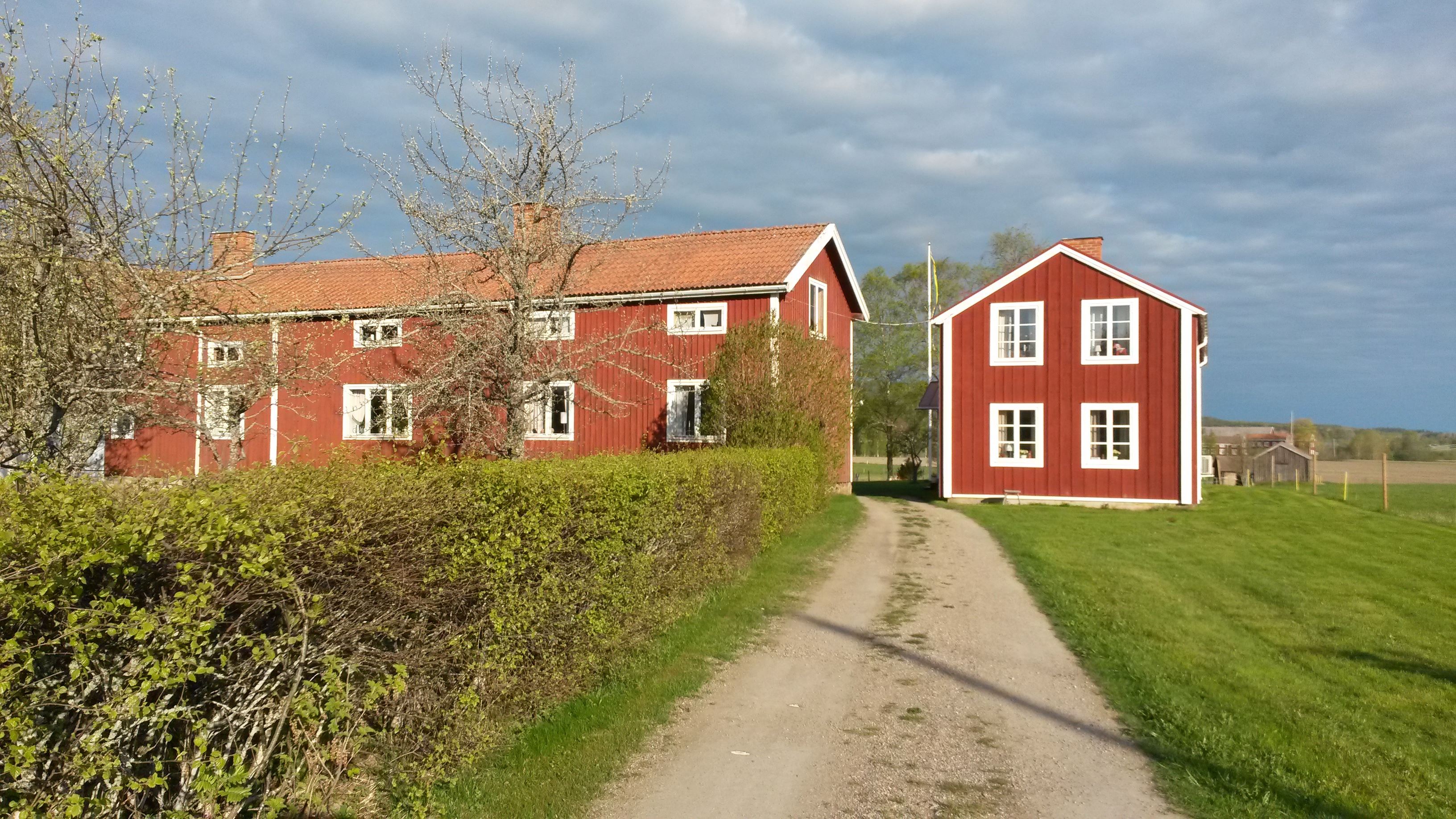 Bo på lantgård i Hälsingland, Hälsingegård