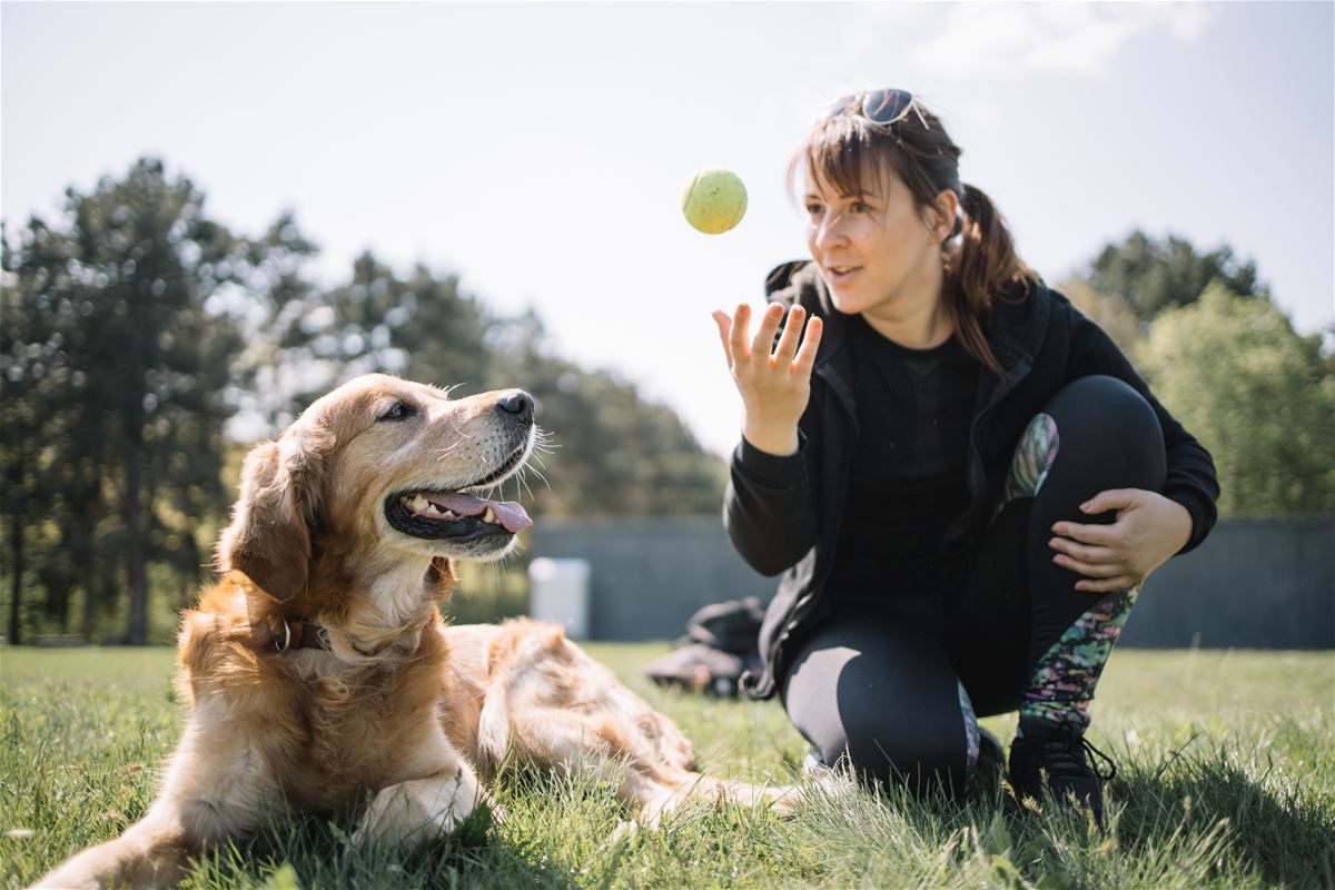  Dog bathing areas image 1