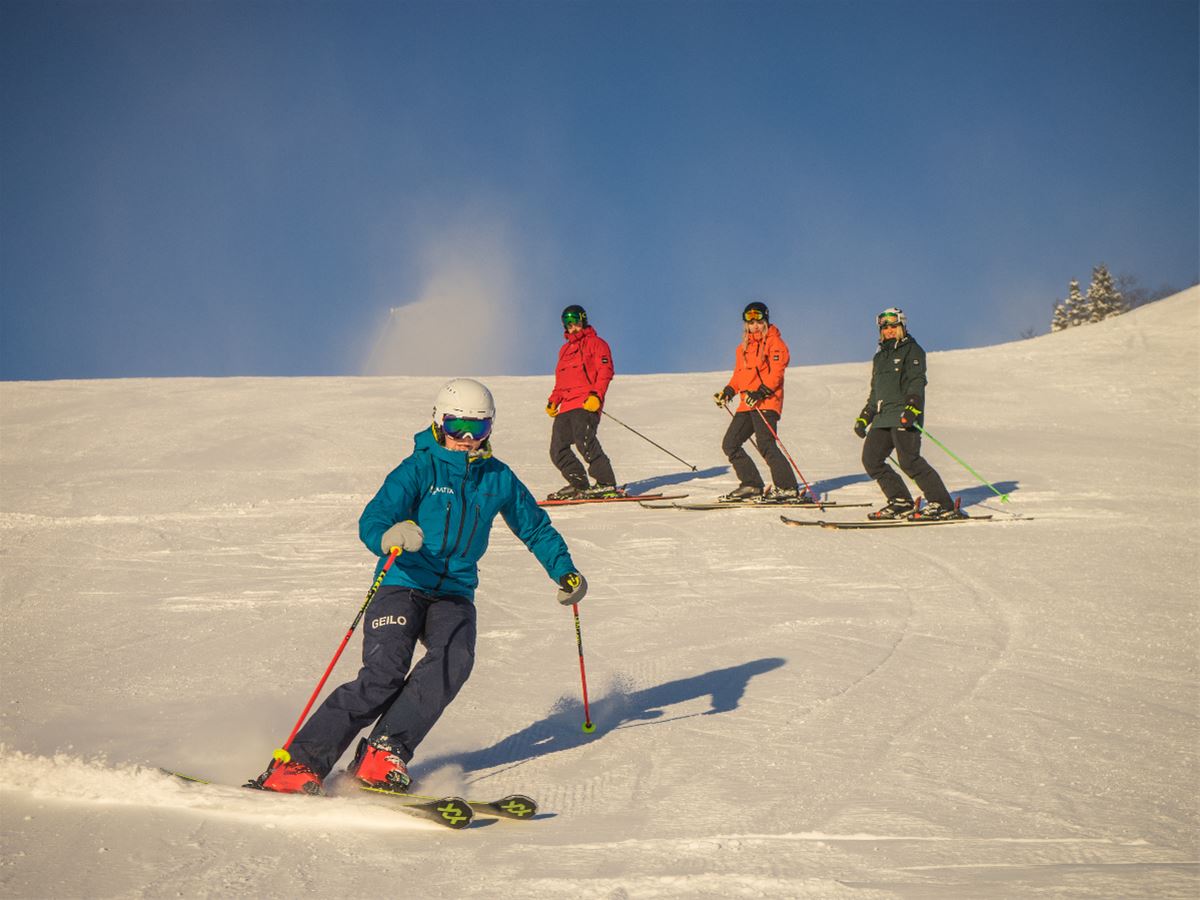 110 min Private Skilesson image 1