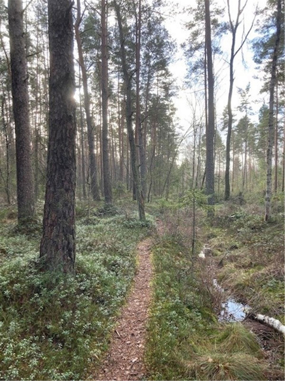 Naturreservat Björnholmarna image 1