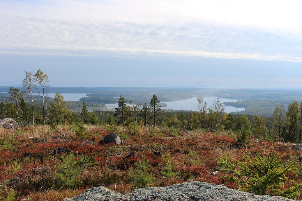 Bålleberget - Bergsjö