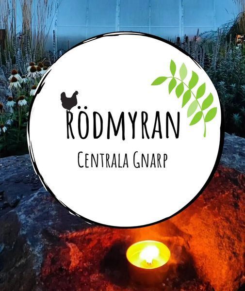 Rödmyran