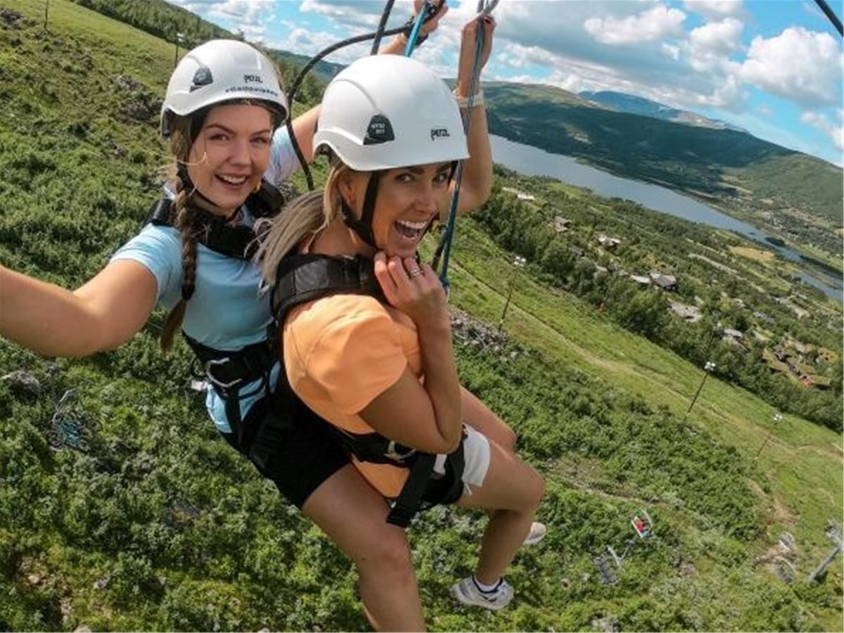 Zipline - 1 tour, tein image 1