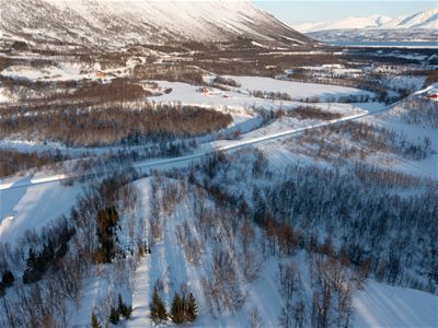 View of the Norwegian Travel's skiing course