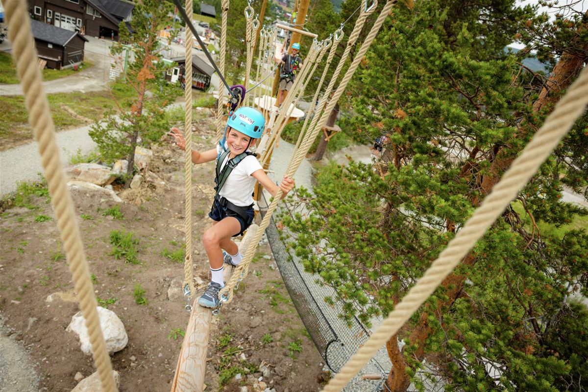 Høyt & Lavt Geilo - 3 hour pass image 1