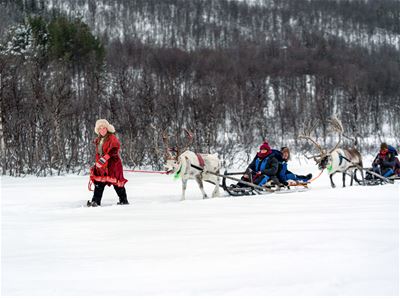 Flere sleder ført etter hverandre