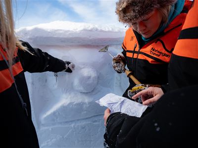 Carving in the snow