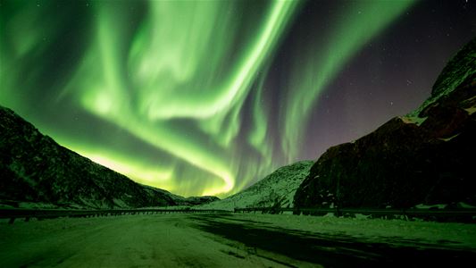 View of green northern lights