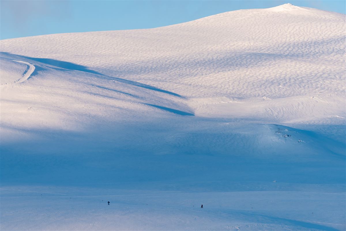 Hemavans vänner (tor-sön) image 1