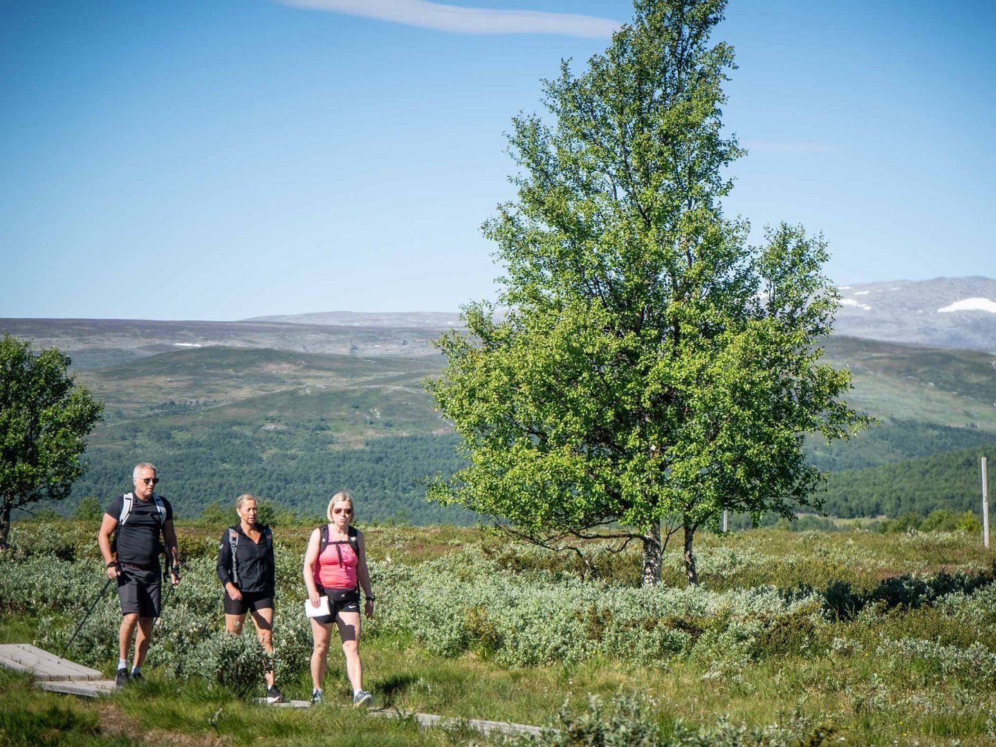 STF Funäsdalen Vandrarhem