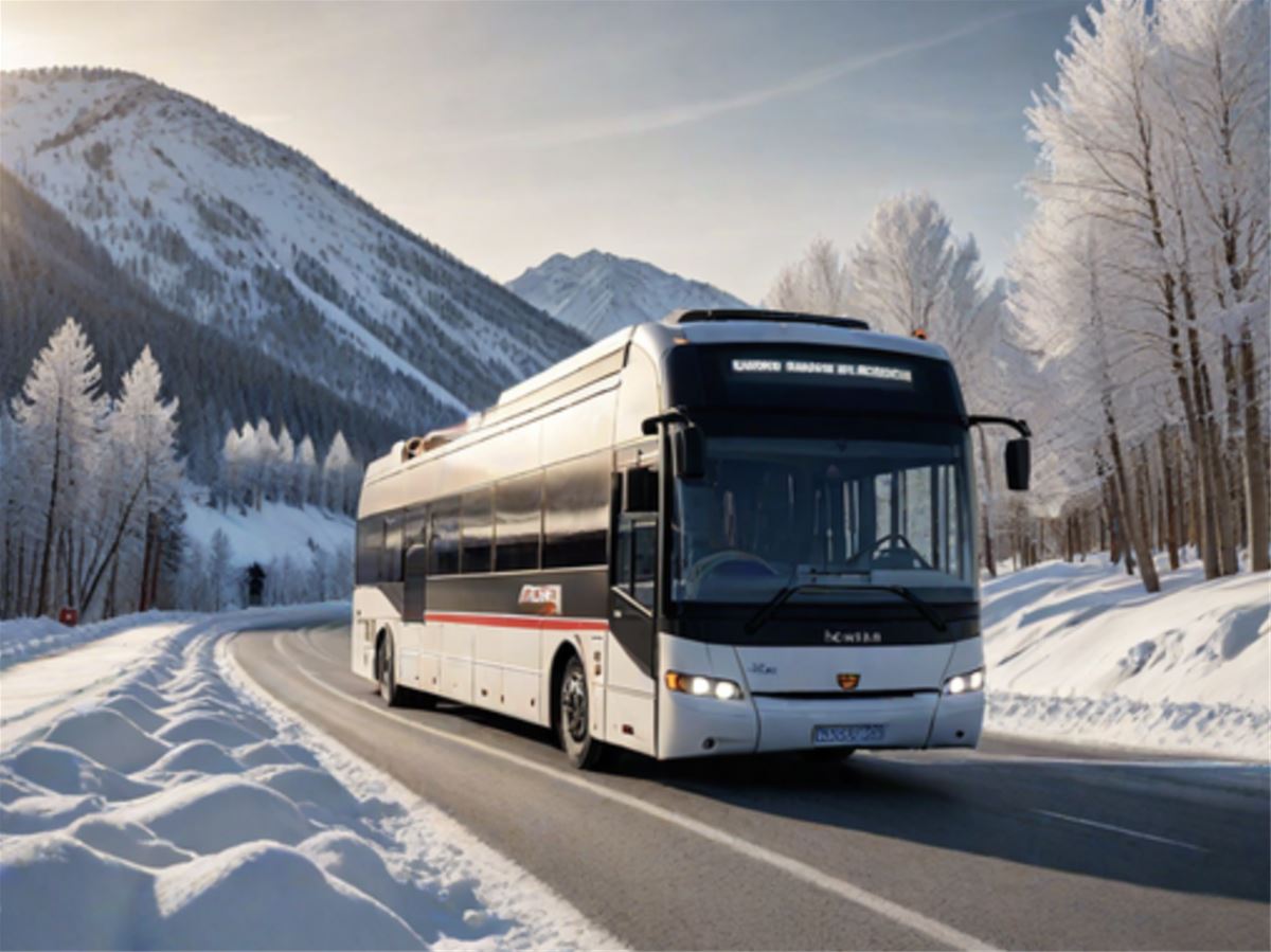 Skidbussen (Mo i Rana - Hemavan)  image 1